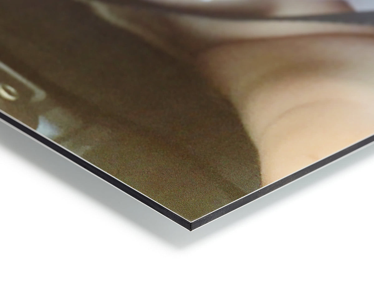 TrueLumi® Aluminium Prints, Large (up to 120 × 100 cm)